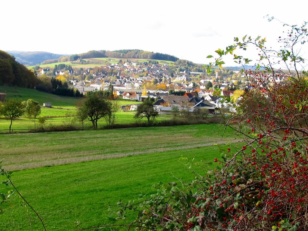 City Apartments Gladenbach Zewnętrze zdjęcie